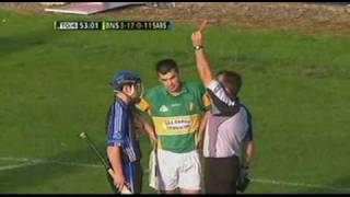 Hurling fight  Sarsfields v Newtownshandrum [upl. by Eivi]