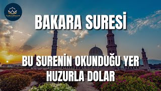 BAKARA SURESİ  OKUNDUĞU YER HUZUR DOLAR  Kuran Dinle [upl. by Aisel]