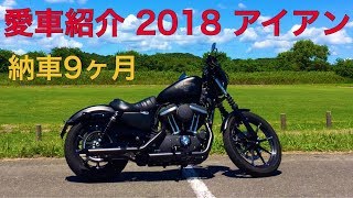 愛車紹介 2018 ハーレー スポーツスター 883N アイアン HARLEYDAVIDSON SPORTSTER IRON [upl. by Tada485]