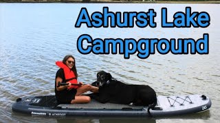 Ashurst Lake Campground amp Adjacent BoondockingGreat Dane Learns to Dogpaddle amp Paddleboard [upl. by Meilen]