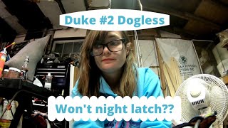 Duke Dogless Review amp Fixing Night Latch [upl. by Daryl]