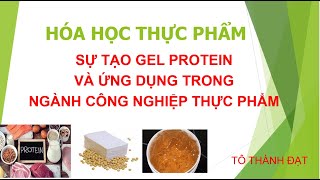 HÓA HỌC TP  SỰ TẠO GEL PROTEIN [upl. by Meikah]