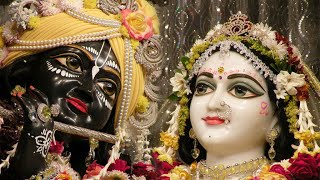 Tulasi Arati  ISKCON Arati Kirtan [upl. by Annaek]