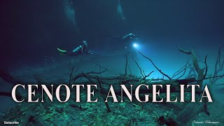 Cenote Angelita  Diving The Underwater River [upl. by Regdirb]