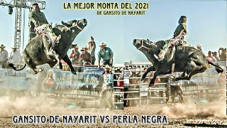 LA MEJOR MONTA DEL 2021 DEL GANSITO DE NAYARIT VS PERLA NEGRA DE LOS TSUNAMIS EN OROSI CA2021 [upl. by Ekle]