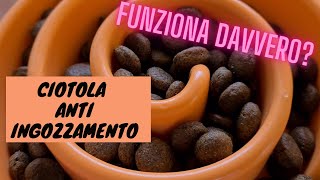 CIOTOLA ANTI INGOZZAMENTO SERVE DAVVERO FACCIAMO UN TEST CON IL MIO CANE [upl. by Cargian]