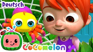 Kleine suesse Spinne  CoComelon  JJs Animal Time Deutsch  Cartoons und Kinderlieder [upl. by Aneekan]