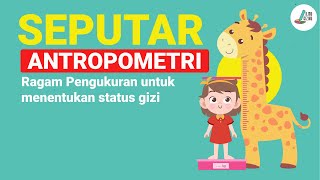 PENGUKURAN ANTROPOMETRI I MENENTUKAN STATUS GIZI [upl. by Oiromed320]