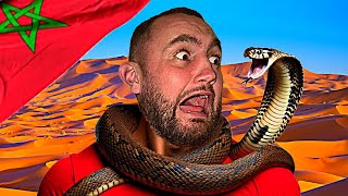 Attacked By A King Cobra In Morocco [upl. by Eylatan]