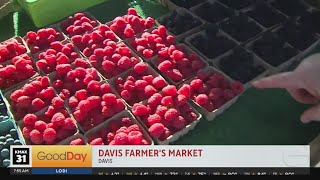 Davis Farmer’s Market 7am [upl. by Zurheide]