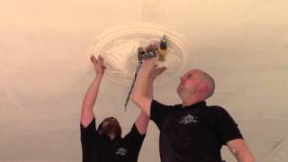 How to Install a Plaster Ceiling Rose [upl. by Elvin590]