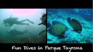 Calipso Dive Center  Scuba Diving Taganga Colombia [upl. by Akli]