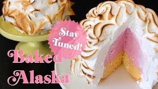 Baked Alaska Trailer [upl. by Naerad88]