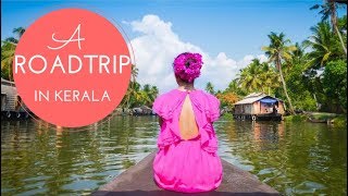 An EPIC Road trip in Kerala  Vlog Bruised Passports [upl. by Levison]