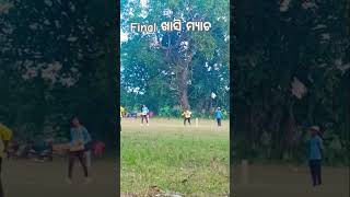 Cricket Final Matchworldcupfinal cricketlover cricketlover cricketshorts youtubeshortsfeed [upl. by Wernsman]