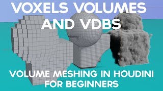 VOXELS VOLUMES AND VDBS Volume Meshing Workflows In Houdini for Beginners [upl. by Hochman]