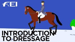 What is Equestrian Dressage These are the rules [upl. by Jedthus319]