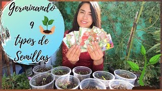 GERMINANDO 9 TIPOS DE SEMILLASMELISA ZUJEY [upl. by Shelba846]