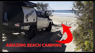 AMAZING K’GARI FRASER ISLAND ADVENTURE CRYSTAL CLEAR WATER AND WHITE BEACHES [upl. by Nahtnhoj218]