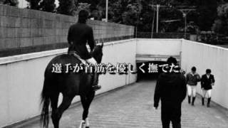 JRA ブランドＣＭ ～ラストラン～ ALL CHUBU EQUESTRIAN TEAM ver [upl. by Barboza]