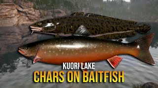 Kouri Lake Chars on Baitfish  Russian Fishing 4 [upl. by Koeppel]