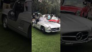 300sl gullwing shorts [upl. by Ahsieit]