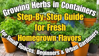 Growing Herbs in Containers StepbyStep Guide for Fresh Herbs YearRound ecogrowcommunity [upl. by Angelika]