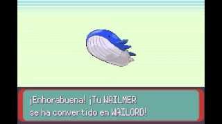 Pokémon Esmeralda  Wailmer evoluciona a Wailord [upl. by Azeel704]