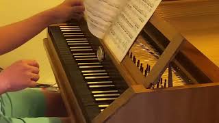 Haydn Fortepiano [upl. by Hairym986]