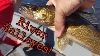 Mid Day Wisconsin River Walleyes  Multiple Tactics  Stevens Point [upl. by Ellerehc890]