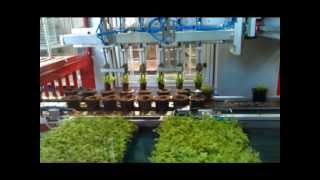 Da Ros  Transplanter  TP MT  Double rows of pots [upl. by Trinatte]