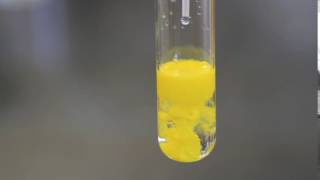 Precipitation of Lead Iodide [upl. by Xxam358]