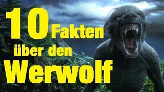 10 FAKTEN über den WERWOLF [upl. by Eustatius]