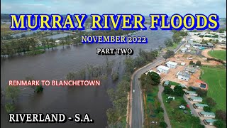 Murray River Floods 2022  Part Two  Renmark to Blanchetown [upl. by Nifled]