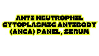 ANTI NEUTROPHIL CYTOPLASMIC ANTIBODY ANCA PANEL SERUM [upl. by Peltier49]