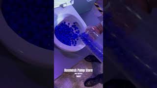 toilet tornado 🌪️flush BALL TESTDasmesh pump store toilet bathroom flushingtoilets tornado [upl. by Carole]