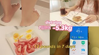 eng일주일다이어트✨운동없이 식단으로 7일53kg 🔥 49kg를 향하여  단기다이어트브이로그diet vlog [upl. by Laing]