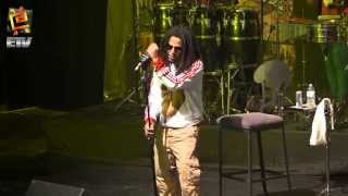 Tego Calderon  Pegadito a la Pared [upl. by Milissa411]