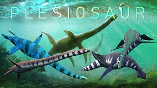 Plesiosaurs long neckshort head [upl. by Leterg]