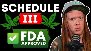 What Rescheduling Cannabis REALLY Means [upl. by Nie]