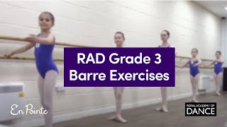 RAD Grade 3 Barre exercises [upl. by Teragramyram]