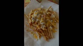 homemade french fries with cheese and gravyhomemade food [upl. by Dnomse]