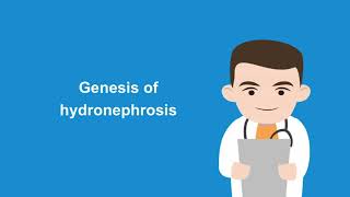 How to diagnose hydronephrosis with the help of ultrasound [upl. by Henry]