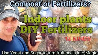 Feeding indoor Plants fertilizers [upl. by Krm]