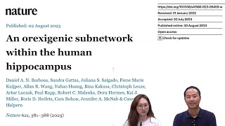 뇌과학 리뷰 quot뇌리quot An orexigenic subnetwork within the human hippocampus [upl. by Animaj284]