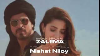 Zaalima  Slowed and Reverb Version Nishad Niloy [upl. by Ennaul]