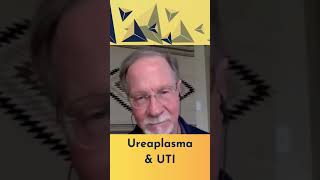 Can Ureaplasma cause UTI [upl. by Annawit]