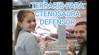 Terrario Ctenosaura Defensor [upl. by Anaihk]