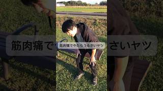 筋肉痛でやたらうるさいヤツ sports 筋肉あるある [upl. by Ecnarepmet]