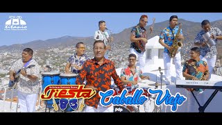 Fiesta 85  Caballo Viejo Official Video [upl. by Ardnuaet612]